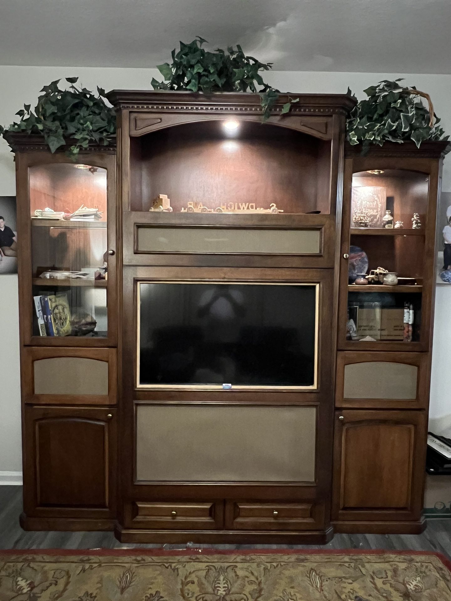 Huge Entertainment Unit 