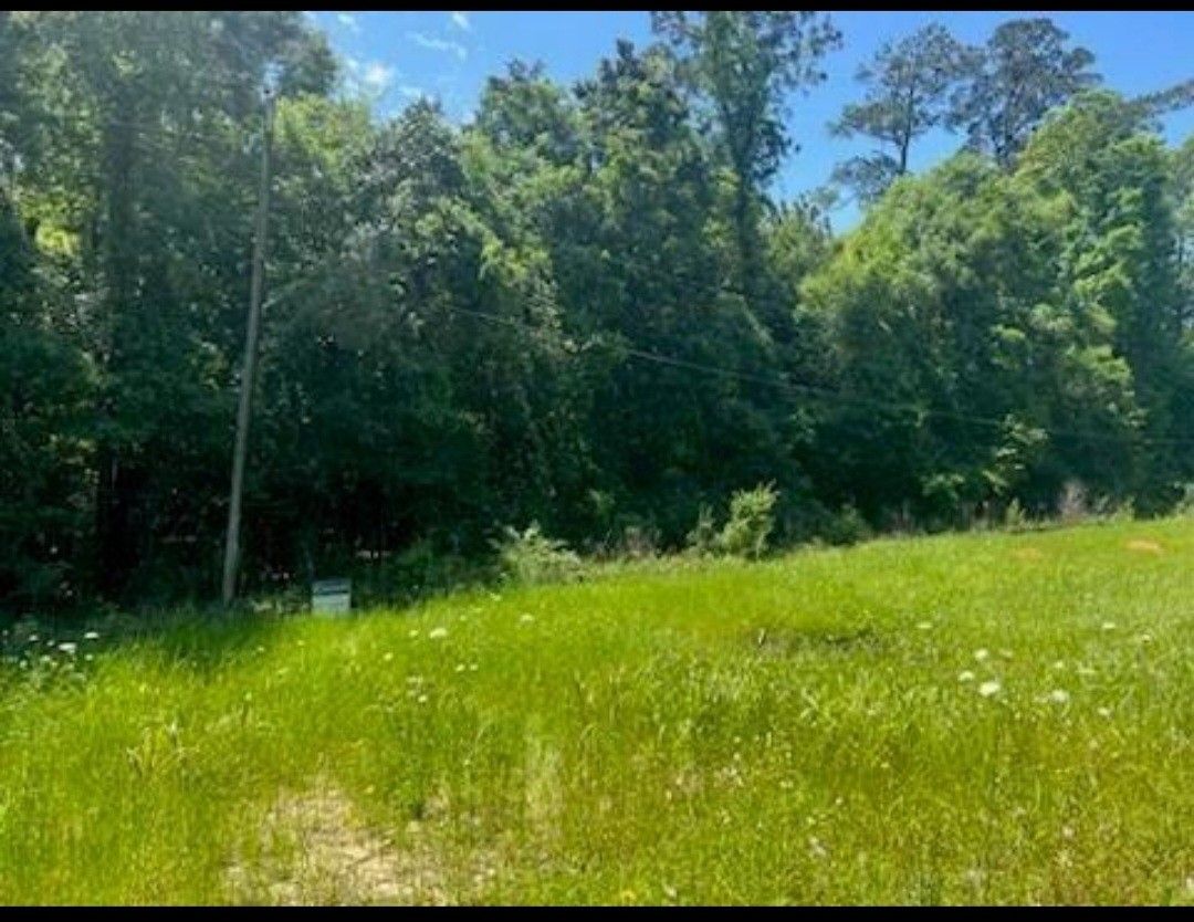 🌳🌳🌲🍁 4 Acres En Livingston Tx