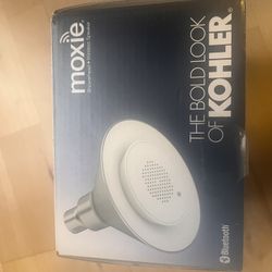 Kohler Bluetooth Shower Head