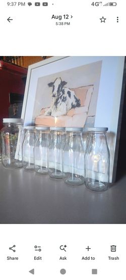Little Milk Bottles 10 oz Each 5 Count