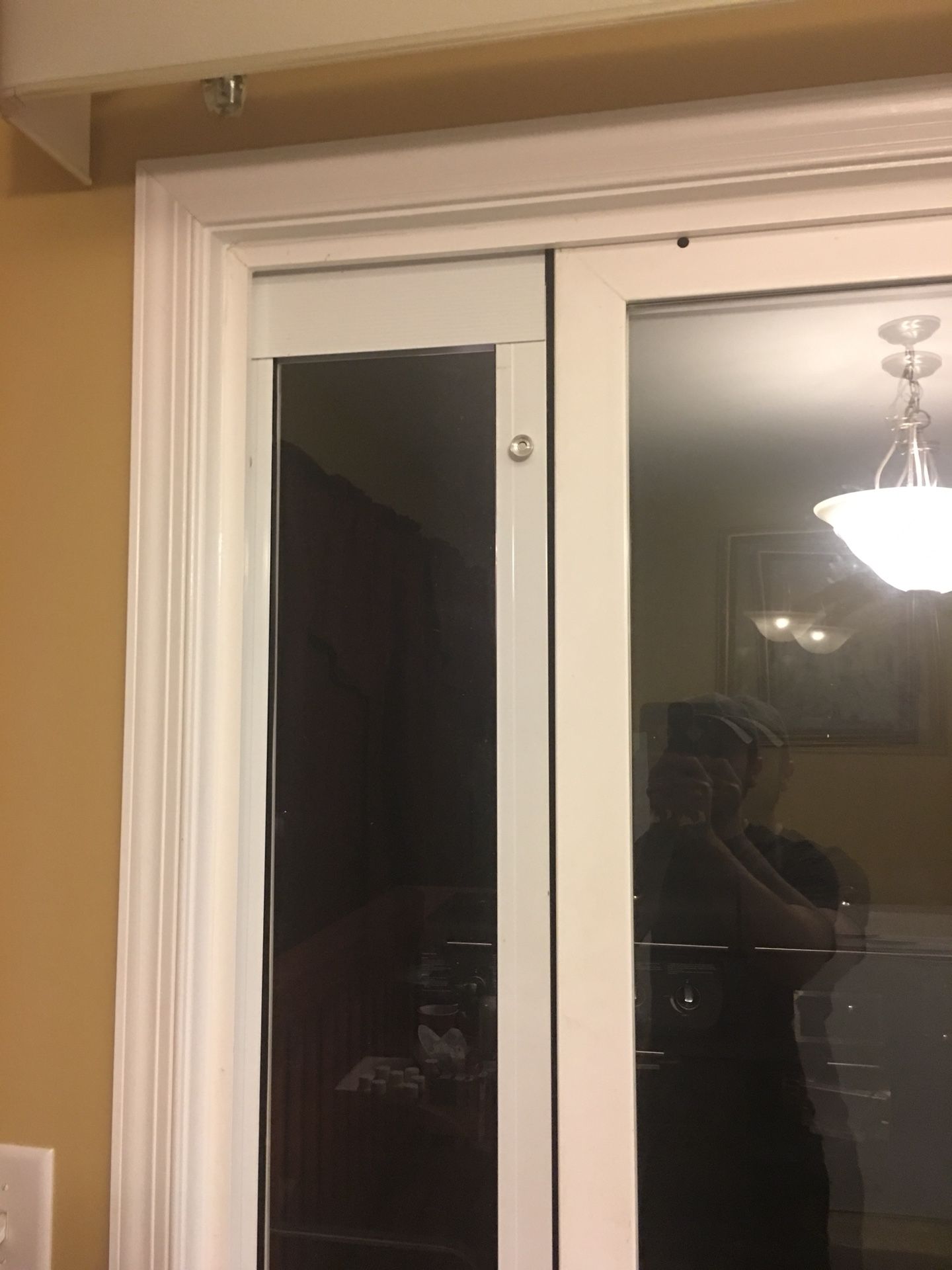 Sliding glass doggy door