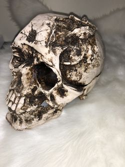 Skull Decor