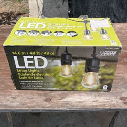 Outdoor Lights