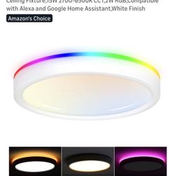 Smart Ceiling Light