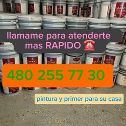 Pintura 