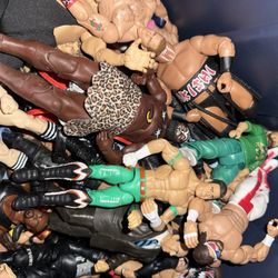 sell me your wwe/wrestling  figures in box or loose ! 