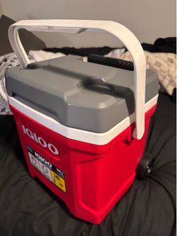Igloo Cooler