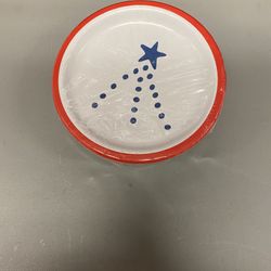 Firework Dinner Disposable Plates