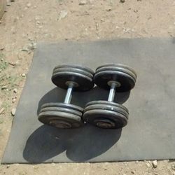 Dumbbells 2x65lbs