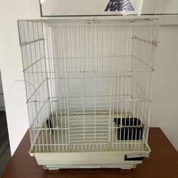 FREE BIRD CAGE | JAULA GRATIS