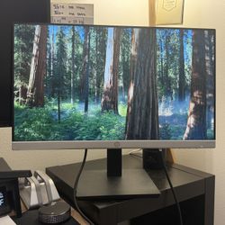 HP Monitor