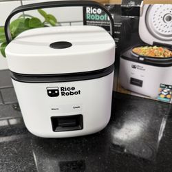 Rice Cooker 