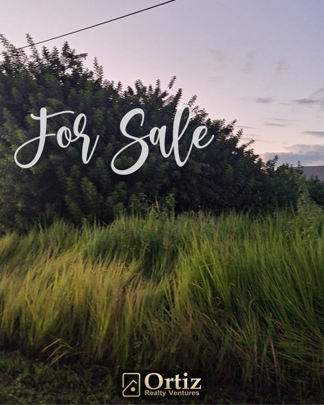 Land For Sale, Vacant Land , Lot In 3810 5th St SW, Lehigh Acres, FL 33976