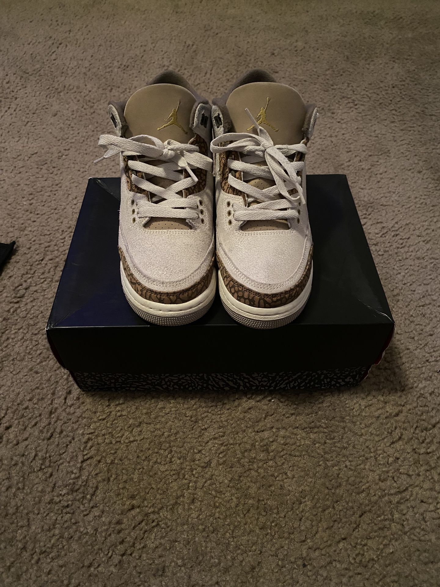 Jordan 3s