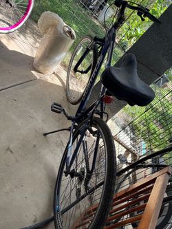 Mens bike schwinn