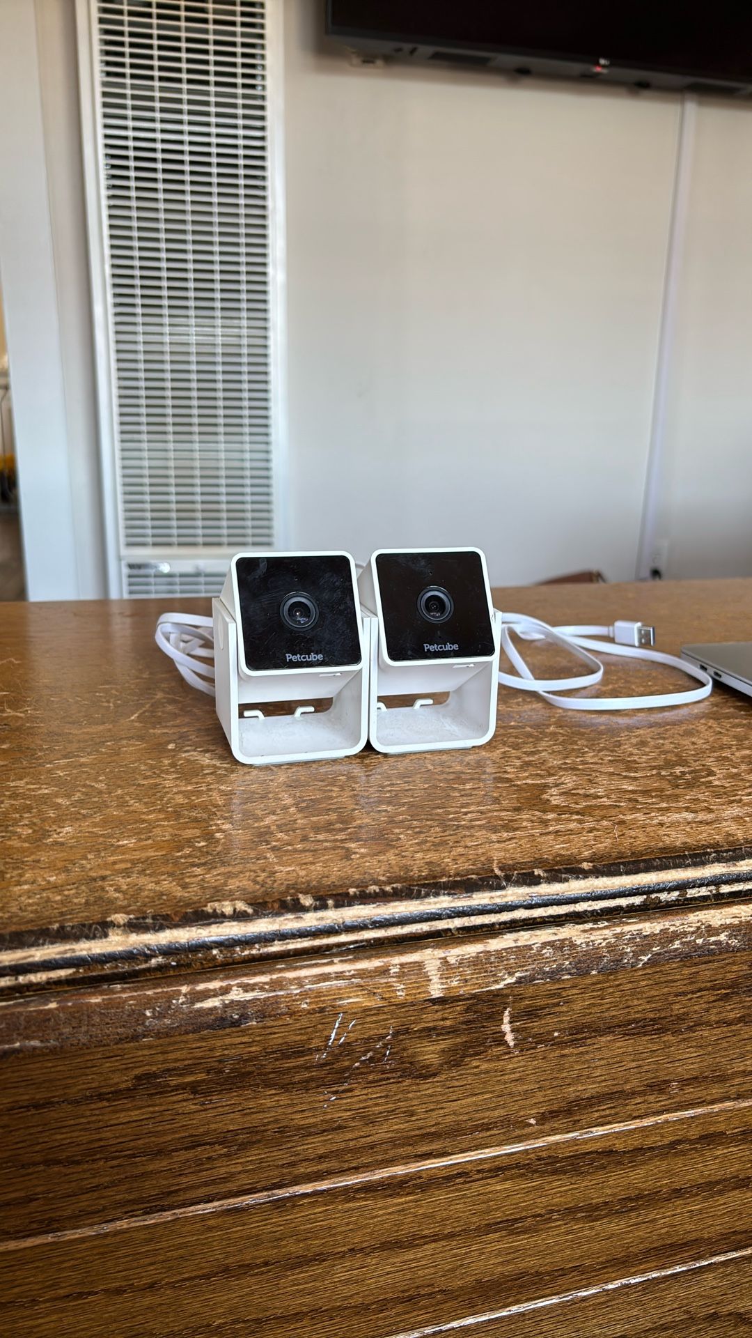 2 Wireless Pet Cube Cameras
