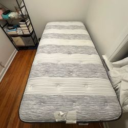 Luxury Beauty rest twin size mattress  clean coming from free pet and smoke house 12”  Pick up Logan squared