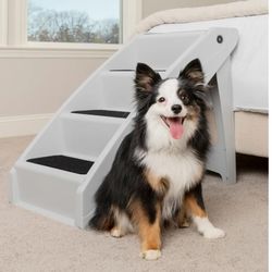 Dog Steps