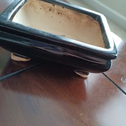  NEW MINI BONSAI POT 💕