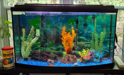 Deluxe 💎 Bowfront 46 gal. Aquarium. Pecera completa de lujo con frente convexo.***MAKE A DECENT OFFER!!!***

The PERFECT 👩‍🎓🎓 GIFT!!! 🎁 

***FISH