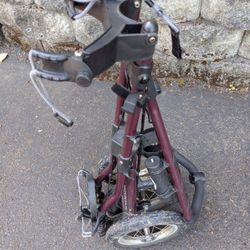 Sunriver Speed Cart (Golfing)