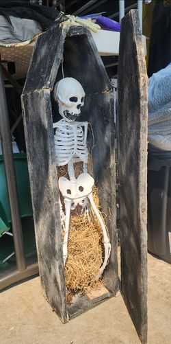 YARD SALE 9a-5p on Saturday 8/15:  Oddities, Bones,  Science books, 925 Jewelry, Costumes, Clothes, Halloween