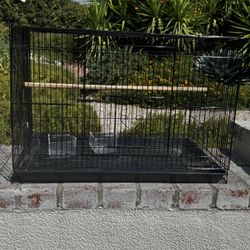 Black Bird Cage 
