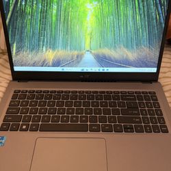 Acer Laptop & LG Monitor