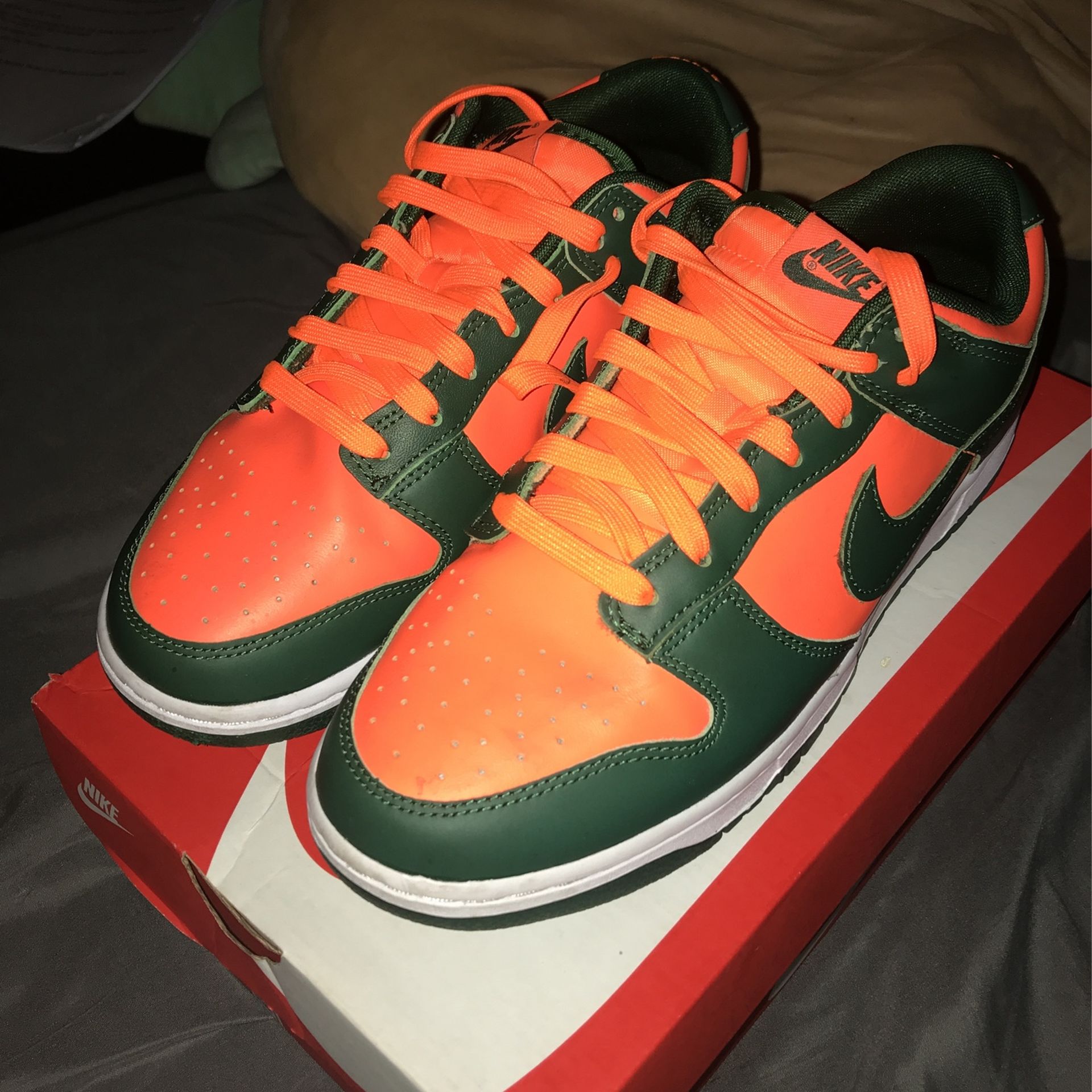 Hurricane Dunks Size 9