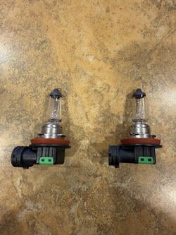 H11 Halogen Bulb Set