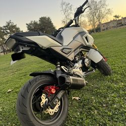 Honda grom