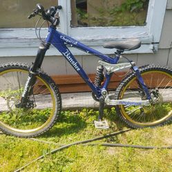 Banshee Downhill Mountain Bike