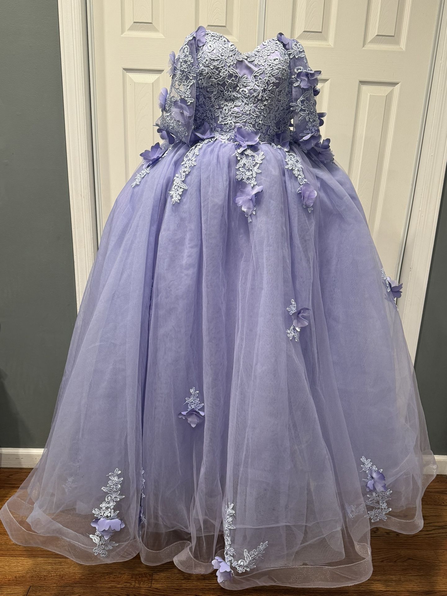 Sweet 16/ Quincenera/Prom/Ball Dress NEGOTIABLE 