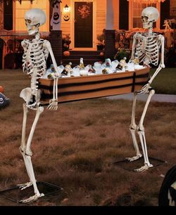 New Inbox, Skeleton, Carrying Ice Box Coffin