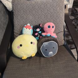 5 Plushies