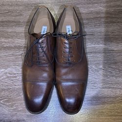 Steve Madden Hasen Tan Leather Size 11