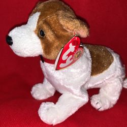 Ty Beanie Baby Of The Month KIPPY The Dog, With Tag/tash Collection 