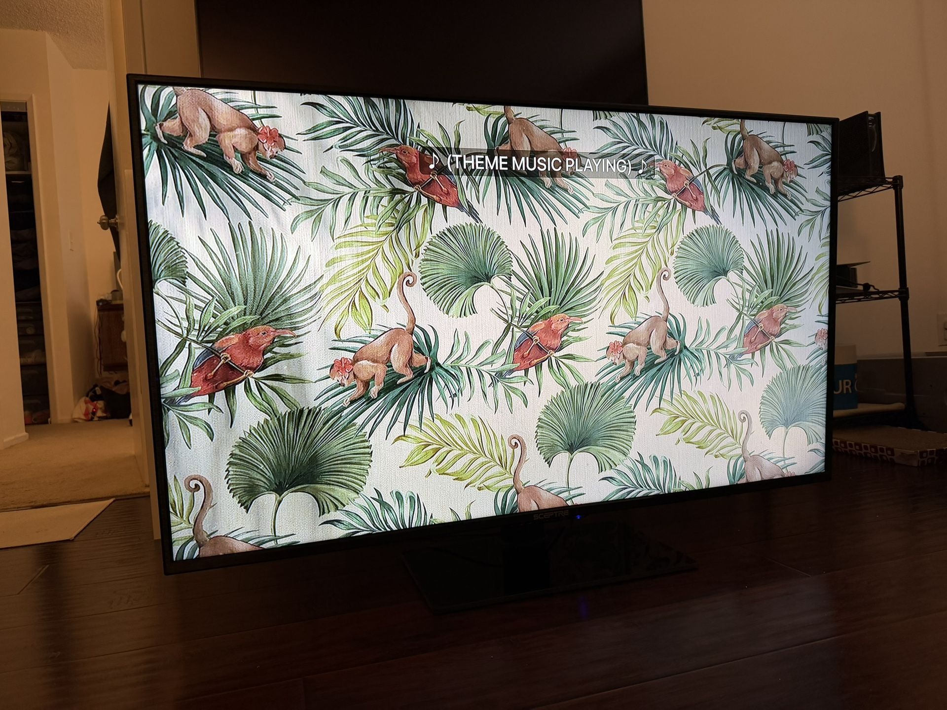 Sceptre Brand 50” Full HD (1920x1080) TV