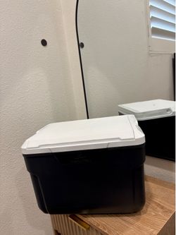 Ozark Trail, 10 quart cooler