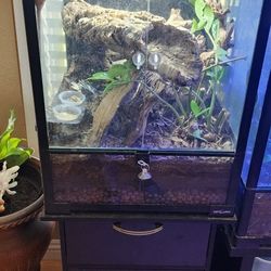 Reptizoo Tank And Stand