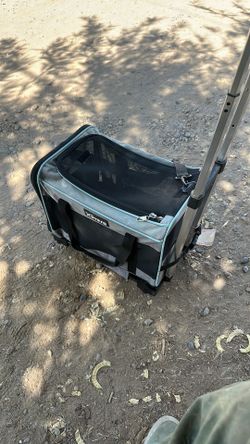 Small pet carrier with telescoping handle and wheels for easy transport