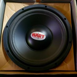 10 in. Subwoofer 