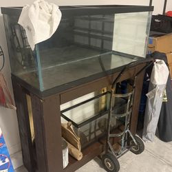 Fish tank/stand
