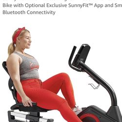 Recumbent Exercise Bike