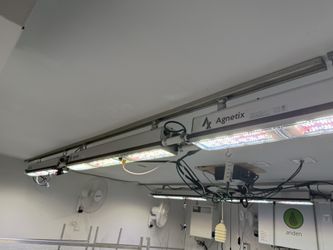 Agnetix Commercial Grow Lights