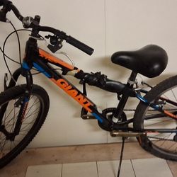 Gaint Youth Mountain Bike