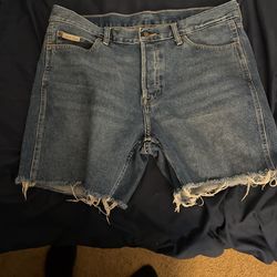 Size 34 Calvin Klein Jorts