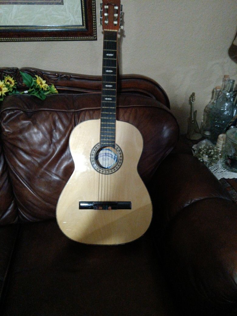 Paracha Guitar Made In Paracha Mich