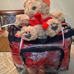 HAPPY VALENTINES DAY  GIFT BAG...