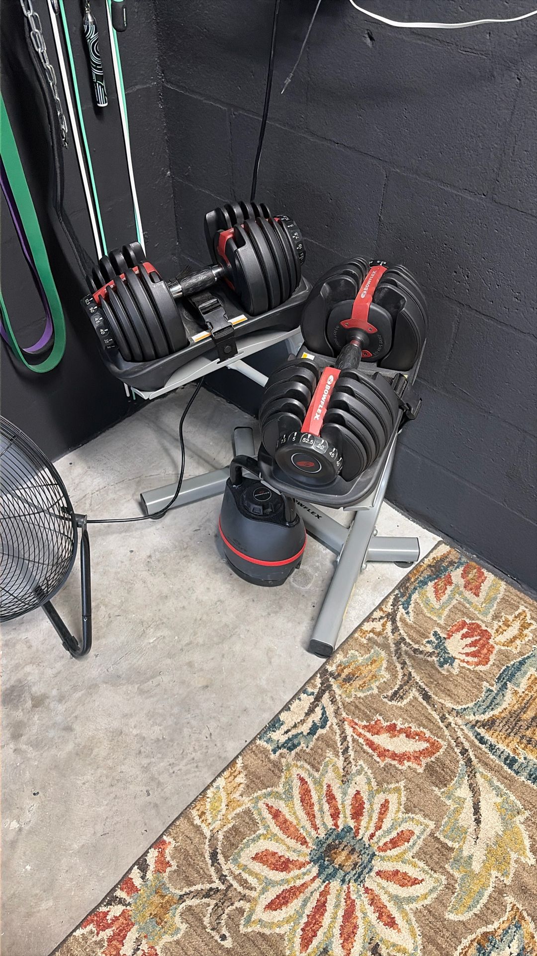 Bowflex Adjustable Dumbbells 52.5